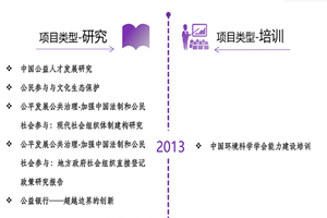 网站啊啊非评估类项目发展历程